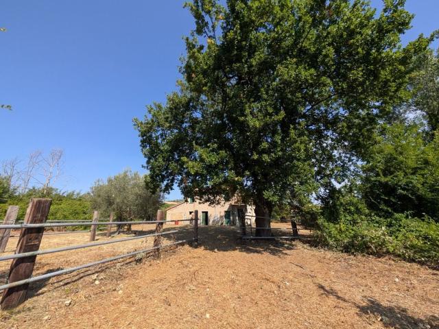 Rustico in vendita a Strada, Marche