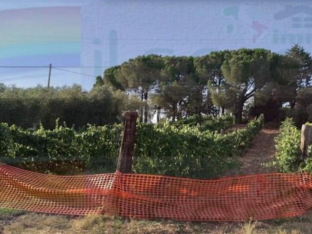 Rustico in vendita a Campagnatico, Grosseto