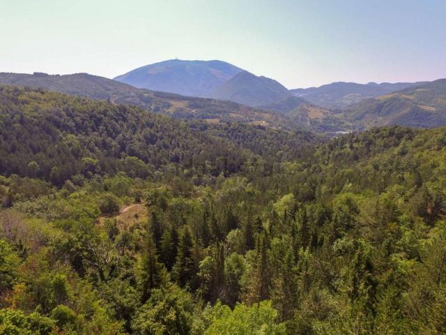 Rustico in vendita a Marche, Pesaro E Urbino