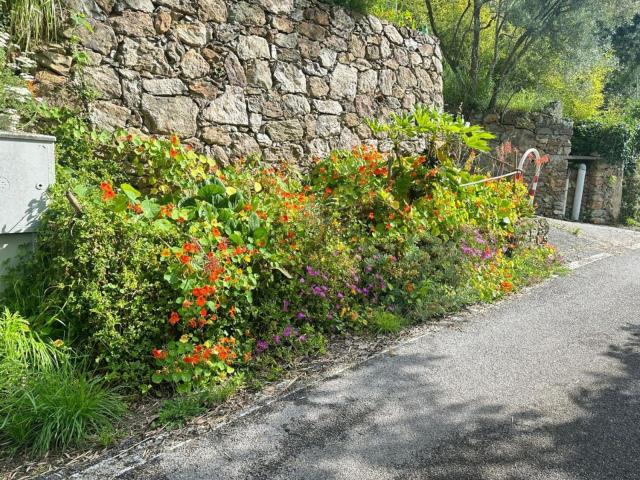 Rustico in vendita a Albisola Capo, Liguria