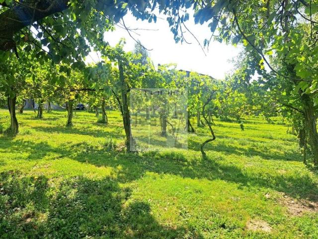 Rustico in vendita a Villa Del Conte, Veneto