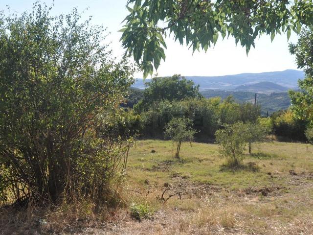 Rustico in vendita a Castellina Marittima, Toscana