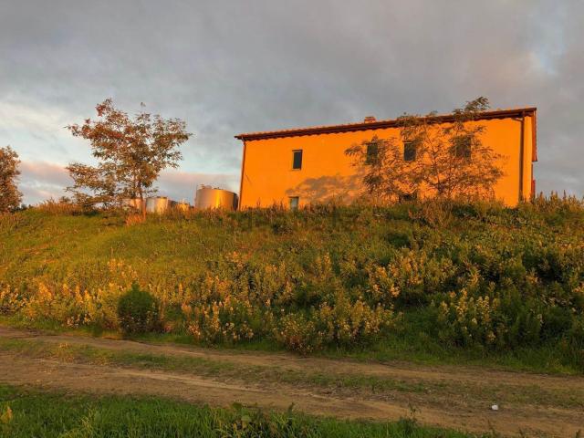 Rustico in vendita a Scansano, Toscana