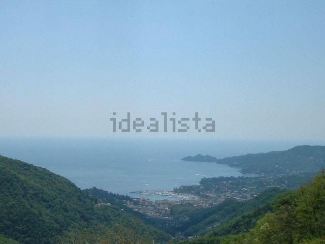 Rustico in vendita a Il Piano, Rapallo