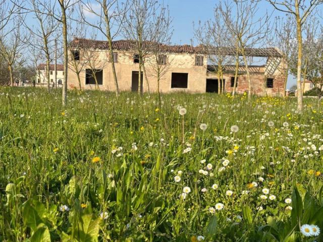 Rustico in vendita a Badia Polesine, Veneto