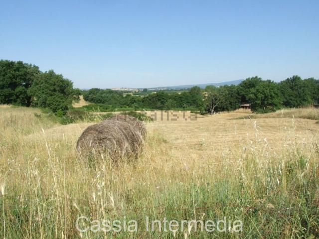 Rustico in vendita a Colle Salomonio, Nepi
