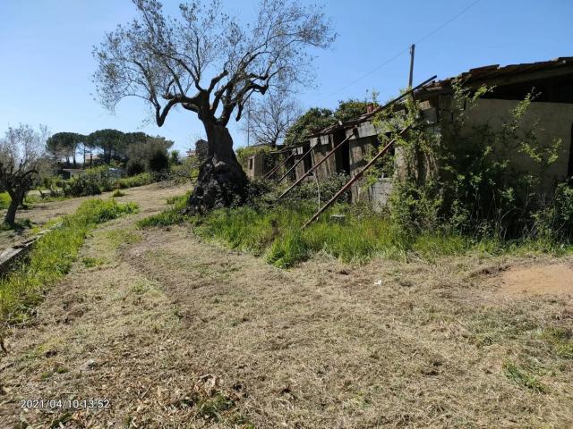 Rustico in vendita a Centola, Campania