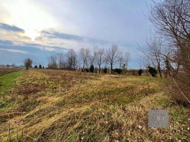 Rustico in vendita a Paviola, San Giorgio in Bosco