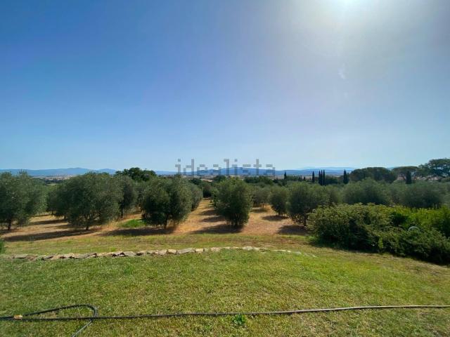 Rustico in vendita a Castiglione della Pescaia, Grosseto