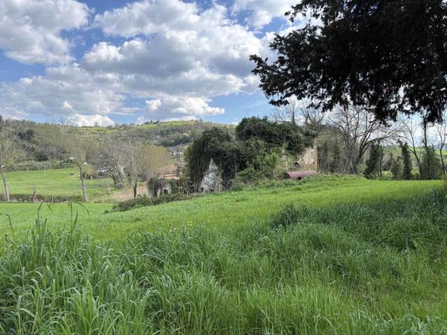 Rustico in vendita a Marche, Ancona