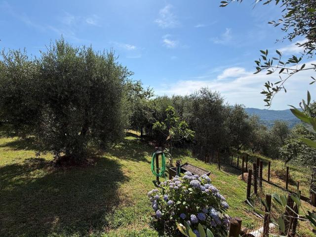 Rustico in vendita a Uzzano E Castello, Toscana