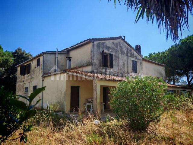 Rustico in vendita a Magliano In Toscana, Toscana