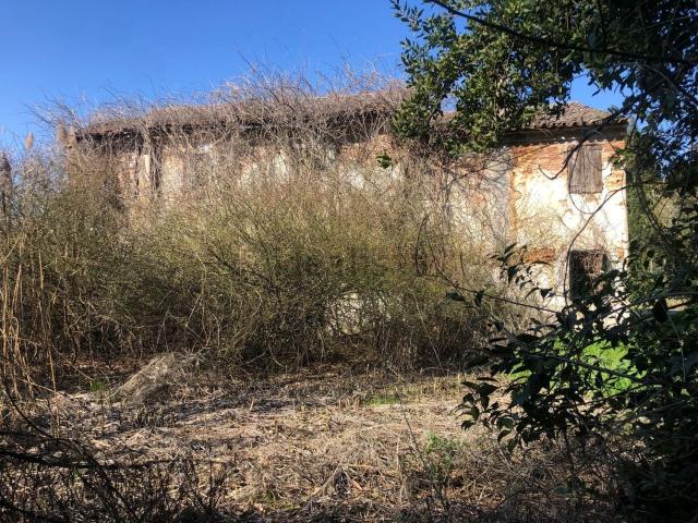 Rustico in vendita a Angiari, Veneto