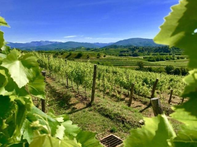 Rustico in vendita a Piemonte, Cuneo