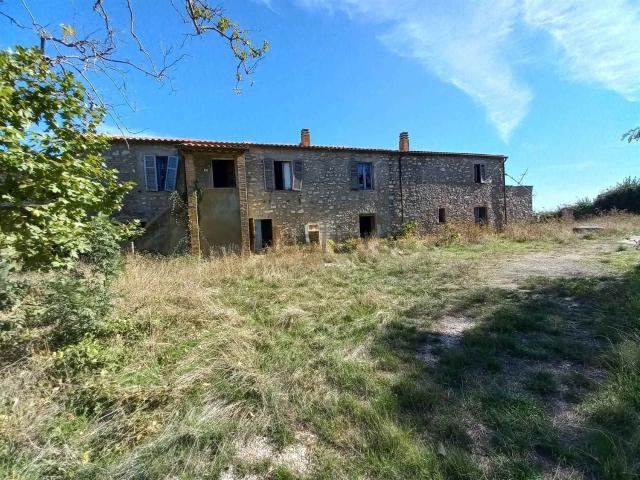 Rustico in vendita a Scansano, Toscana