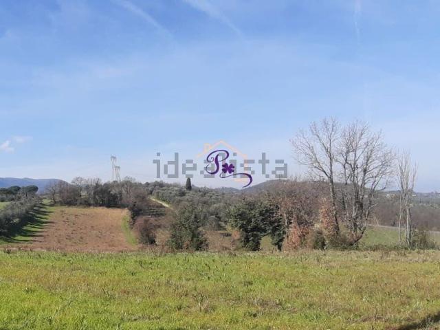 Rustico in vendita a Carmignano, Comeana