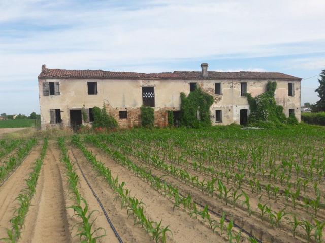 Rustico in vendita a Bovolone, Veneto