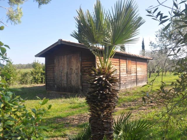 Rustico in vendita a Cecina, Toscana