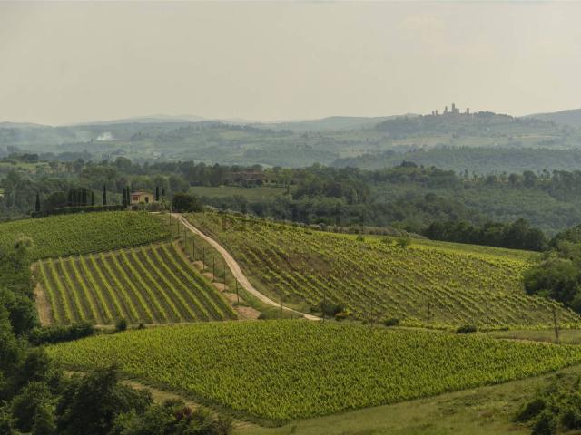Rustico in vendita a Unione dei Comuni Circondario dell'Empolese Valdelsa, Lucardo