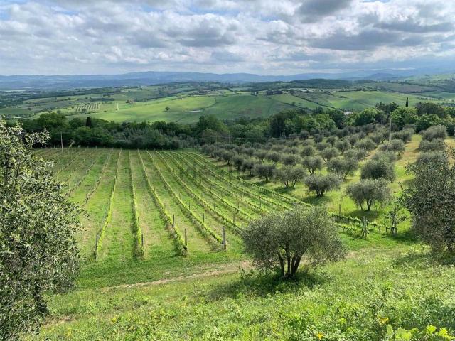 Rustico in vendita a Cinigiano, Toscana
