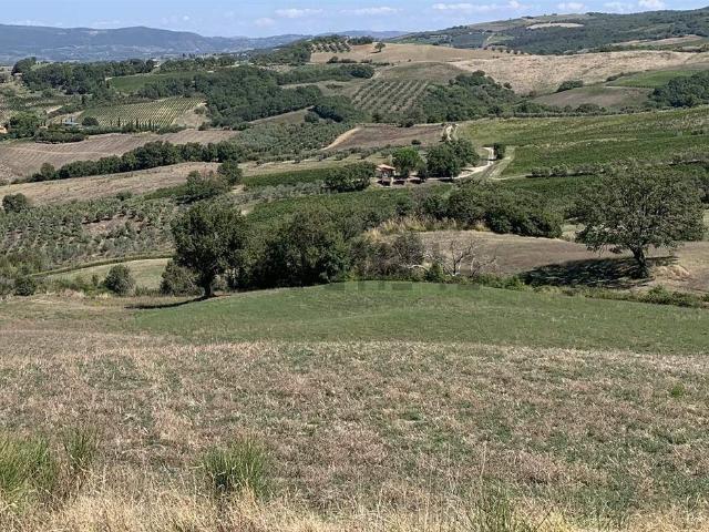 Rustico in vendita a Cinigiano, Toscana