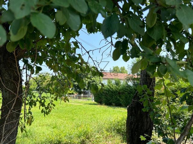Rustico in vendita a Loreggia, Veneto