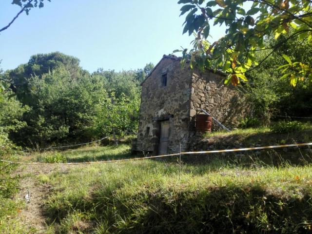 Rustico in vendita a Cinigiano, Toscana