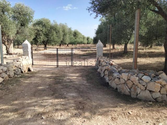 Rustico in vendita a Puglia, Barletta-andria-trani