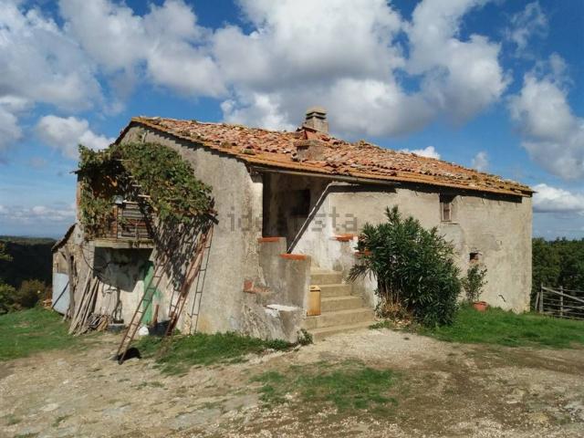 Rustico in vendita a Scansano, Toscana