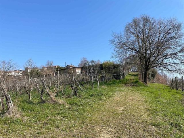 Rustico in vendita a Torrazza Coste, Lombardia