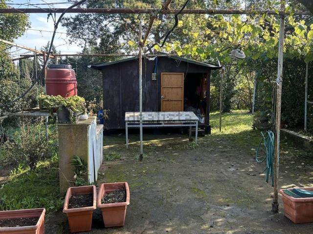 Rustico in vendita a Piombino, Toscana