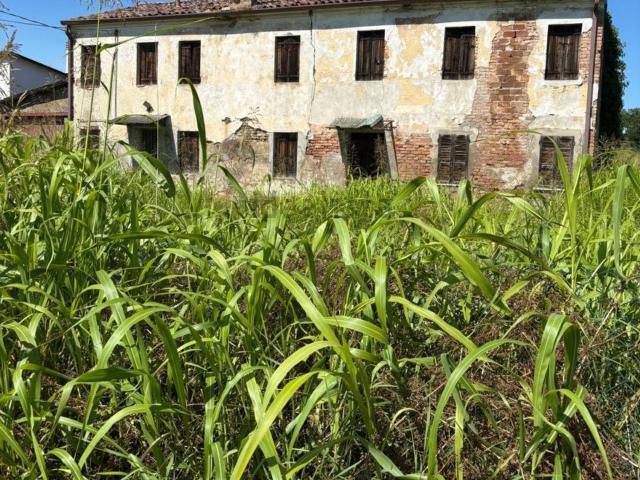 Rustico in vendita a Masi, Veneto