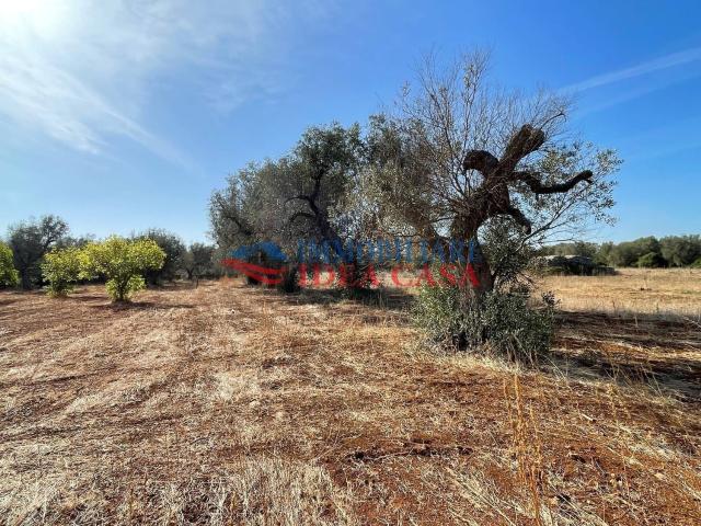 Rustico in vendita a Puglia, Brindisi