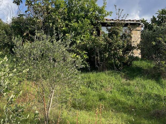 Rustico in vendita a Tuscania, Lazio