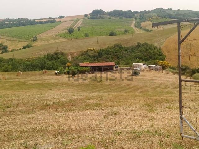 Rustico in vendita a Cinigiano, Grosseto