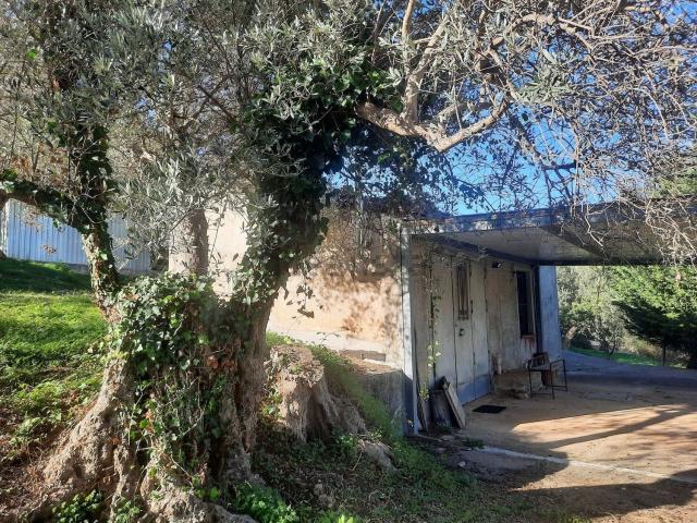 Rustico in vendita a Tusa, Sicilia