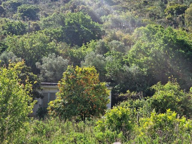 Rustico in vendita a Monte Argentario, Pozzarello