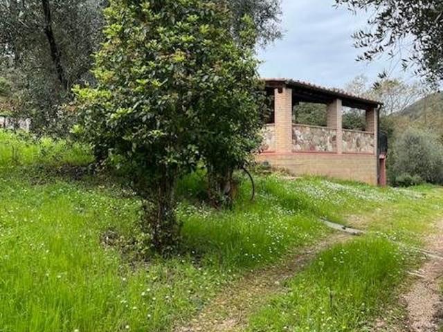 Rustico in vendita a Sassetta, Toscana