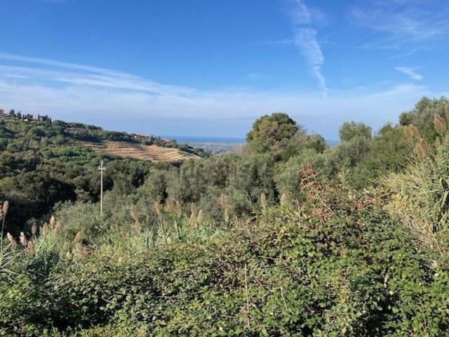 Rustico in vendita a Bolgheri, Toscana