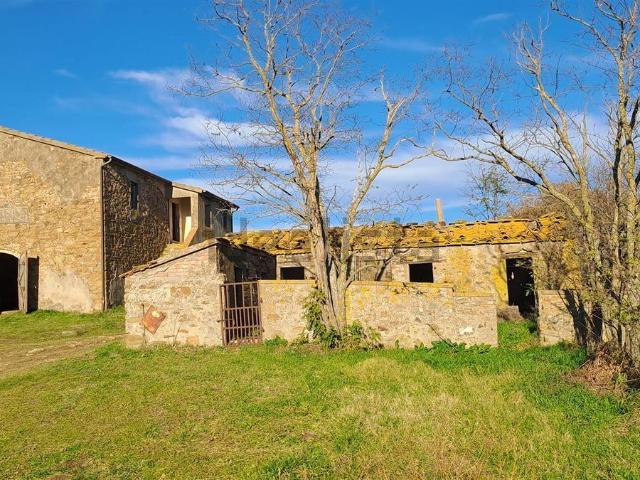 Rustico in vendita a Montiano, Magliano In Toscana