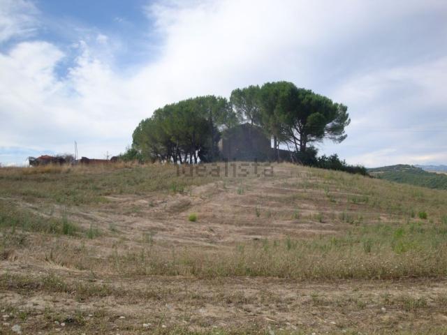 Rustico in vendita a Bibbona, Toscana