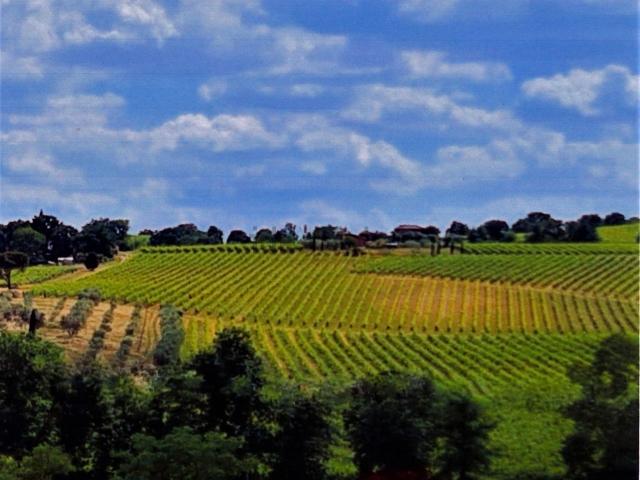 Rustico in vendita a Abbadia Di Montepulciano, Toscana