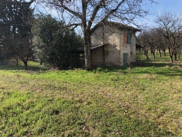 Rustico in vendita a Unione di comuni Terre di Castelli, Savignano Sul Panaro