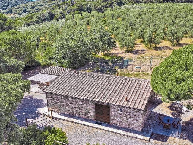 Rustico in vendita a Suvereto, Toscana