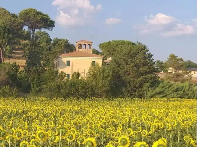 Rustico in vendita a Magione, Umbria