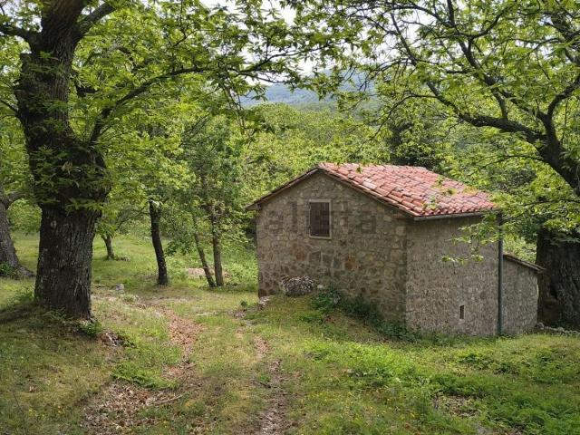 Rustico in vendita a Unione dei Comuni Montani Amiata Grossetana, Arcidosso