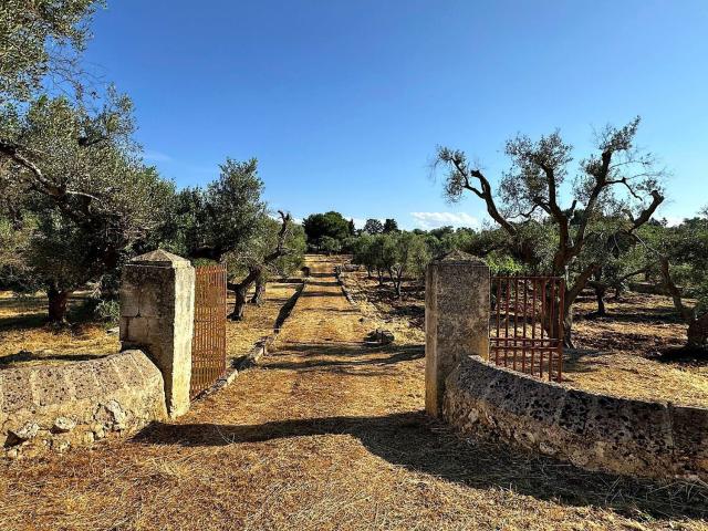 Rustico in vendita a Puglia, Brindisi