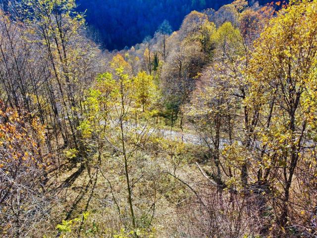 Rustico in vendita a Piemonte, Cuneo