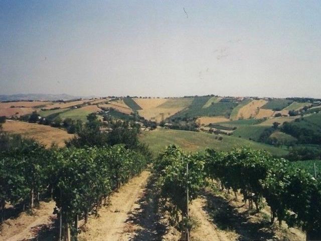 Rustico in vendita a Marche, Ancona