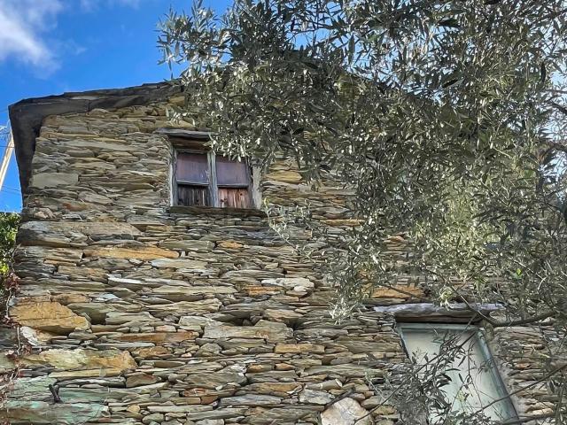 Rustico in vendita a Avegno, Testana